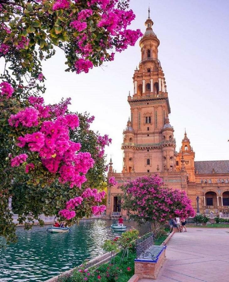 Triana Leon Sanz Lägenhet Sevilla Exteriör bild